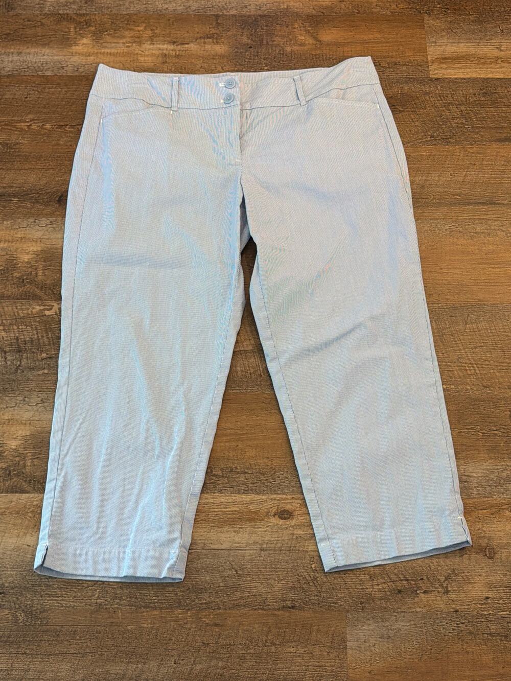 LOFT Outlet Size 14 Light Blue Ticking Stripe Cropped Pants Coastal Minimalist